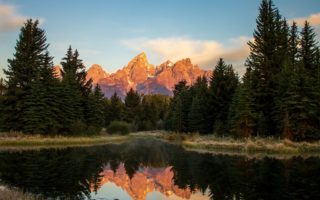 green pine trees near lake during daytime