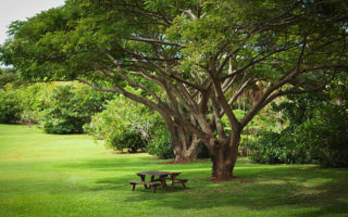 jardinier paysagiste