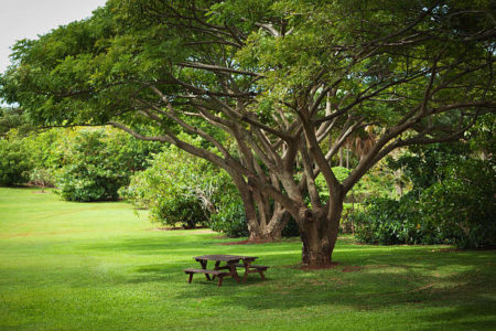 jardinier paysagiste
