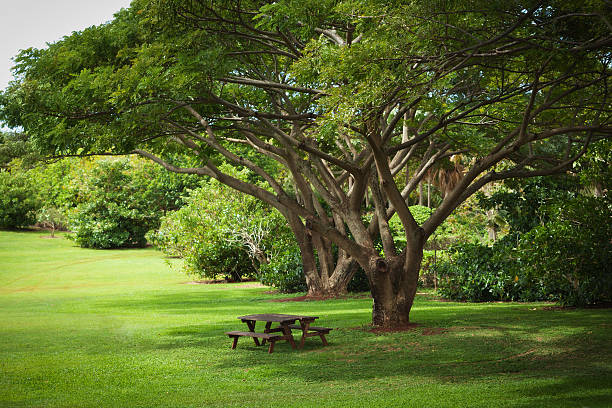 jardinier paysagiste